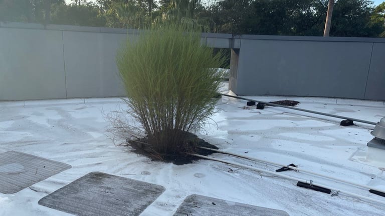 maintenace repair services in a commercial flat roof